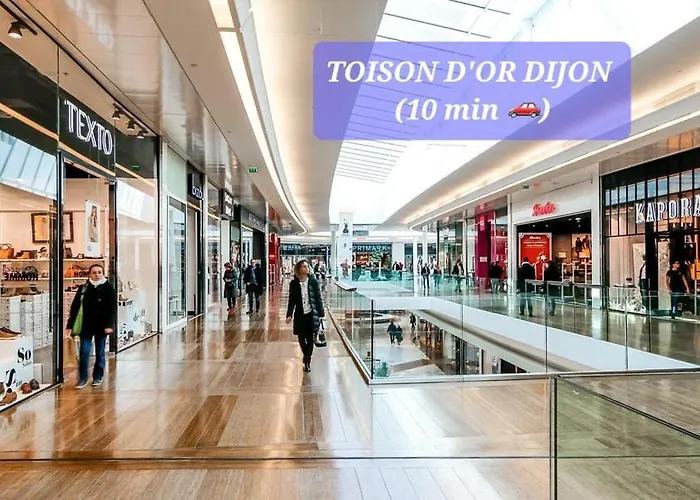 La Rose Des Vents - Parking Gratuit - Stylecosy Dijon